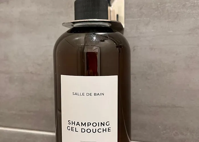 Appartamento Le Quarante Cinq -2 Laval (Mayenne)